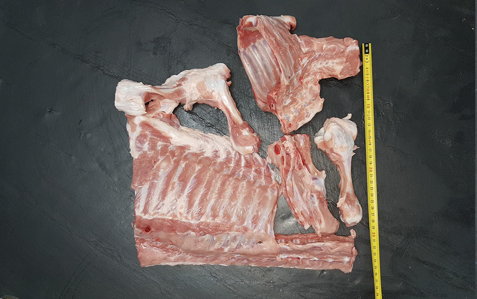 Bones of suckling pig 
